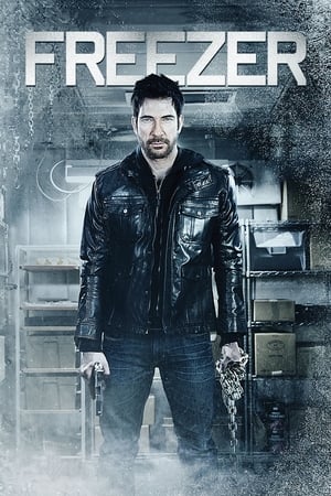 Freezer (2014) Hindi Dual Audio 250MB