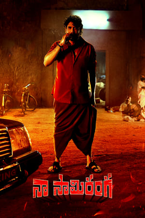 Naa Saami Ranga 2024 Hindi – –